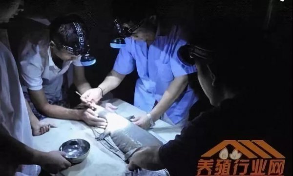 資本試水區塊鏈生物科技+大健康，場(chǎng)景應用時(shí)代已然來(lái)臨！