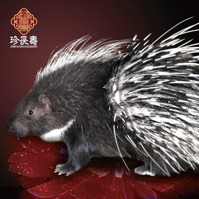 【有機認證】周身是寶，不是豬的“豬”（長(cháng)生淀基地年產(chǎn)量1萬(wàn)頭）
